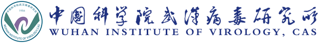 Wuhan Institute Of Virology